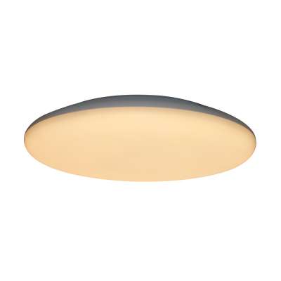 Round shape dimmable smart smd IP65 baby home ceiling light lamps