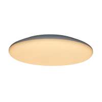 Tuya Control IP65 Adjustable Bedroom Ceiling Light For Home